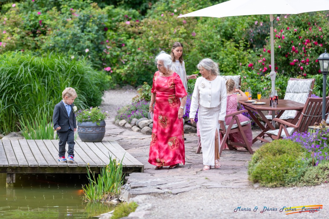reception maria denes