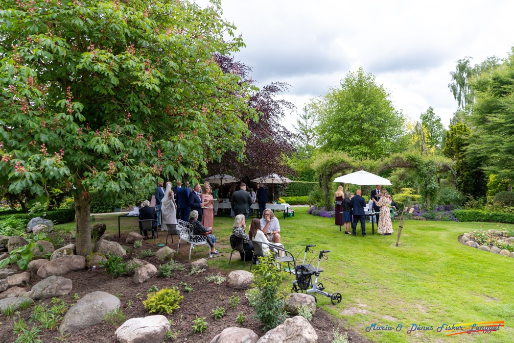 reception maria denes